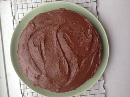 Chocolate vanilla cake on a green plate.