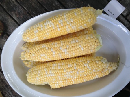 Pile of shucked corn.