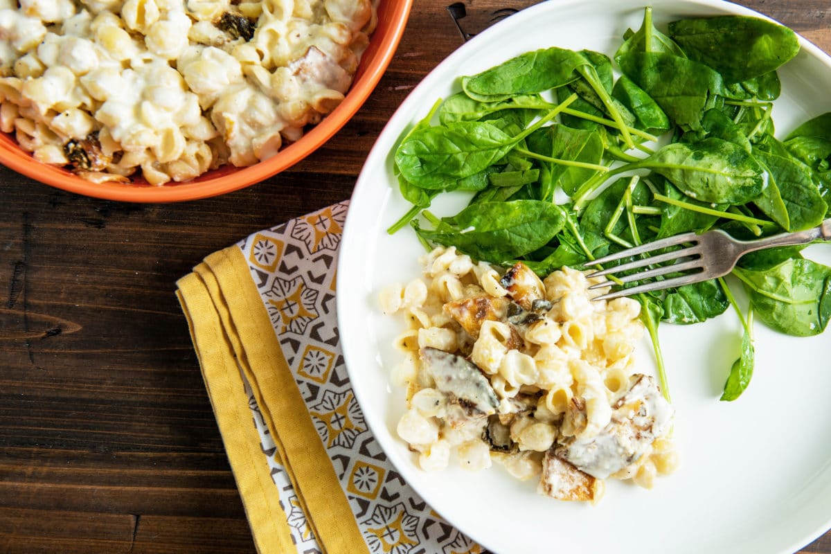 Pasta Shells with Pumpkin in a Creamy, Cheesy Sauce