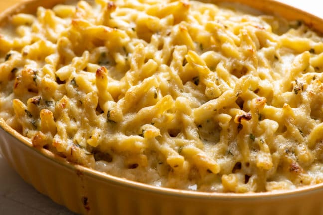 Creamy Four-Cheese Pasta in an oblong baking dish.