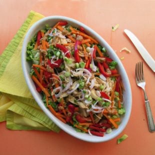 Chicken Sate Salad / Laura Agra / Katie Workman / themom100.com