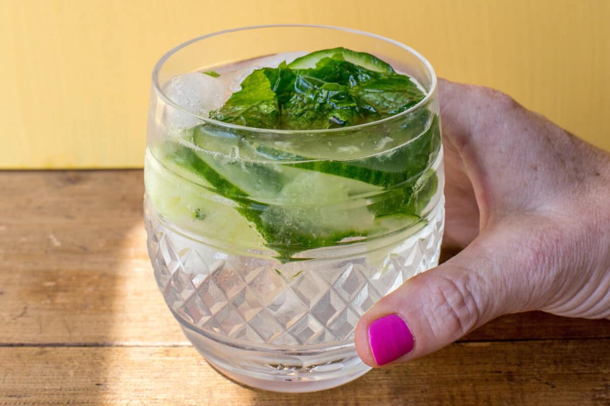 Woman holding a glass of gin and tonic with fresh cucumber and mint.