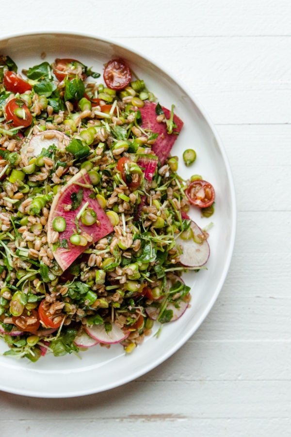 Farro and Vegetable Salad / Carrie Crow / Katie Workman / themom100.com