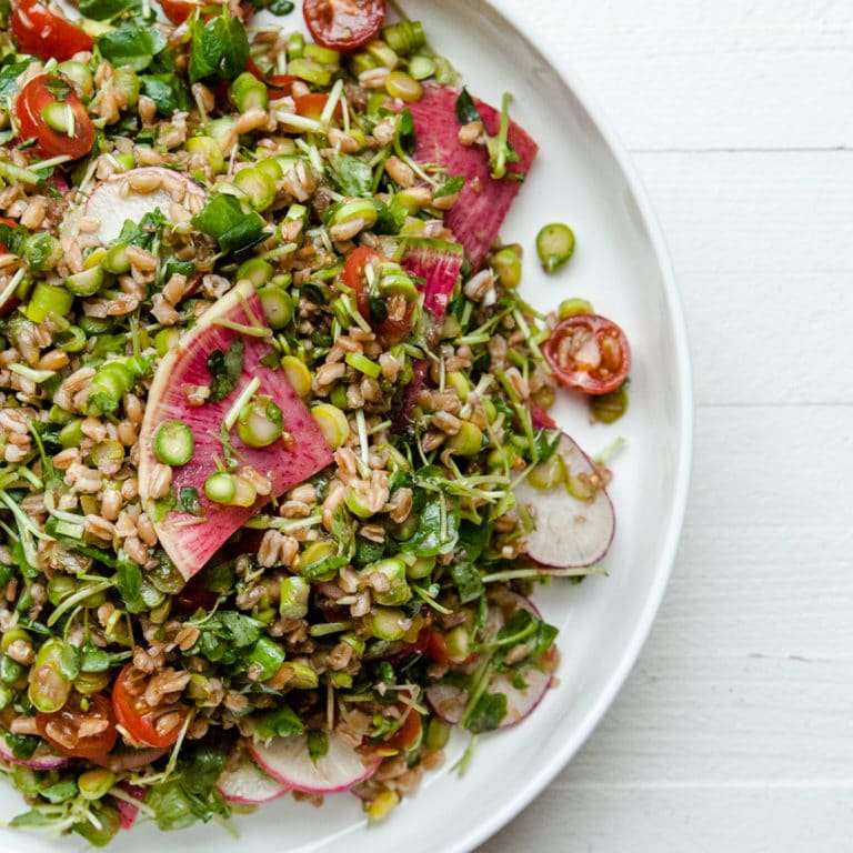Farro and Vegetable Salad / Carrie Crow / Katie Workman / themom100.com