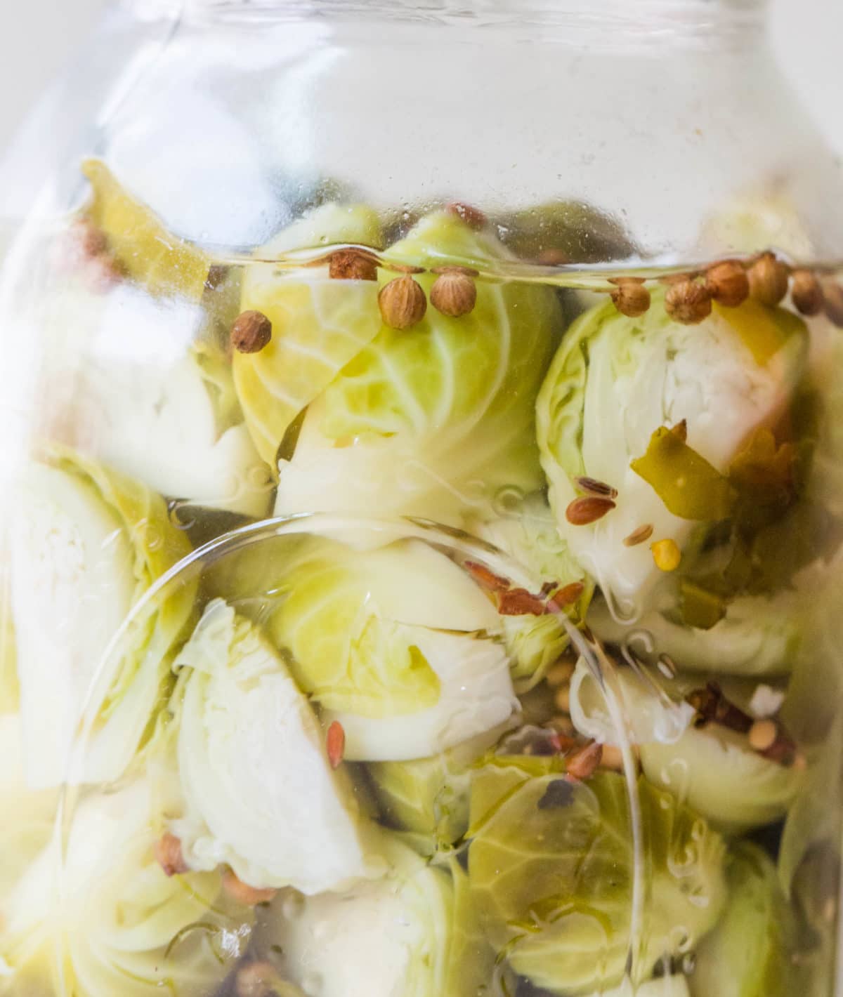 Pickled Brussel Sprouts / Sarah Crowder / Katie Workman / themom100.com