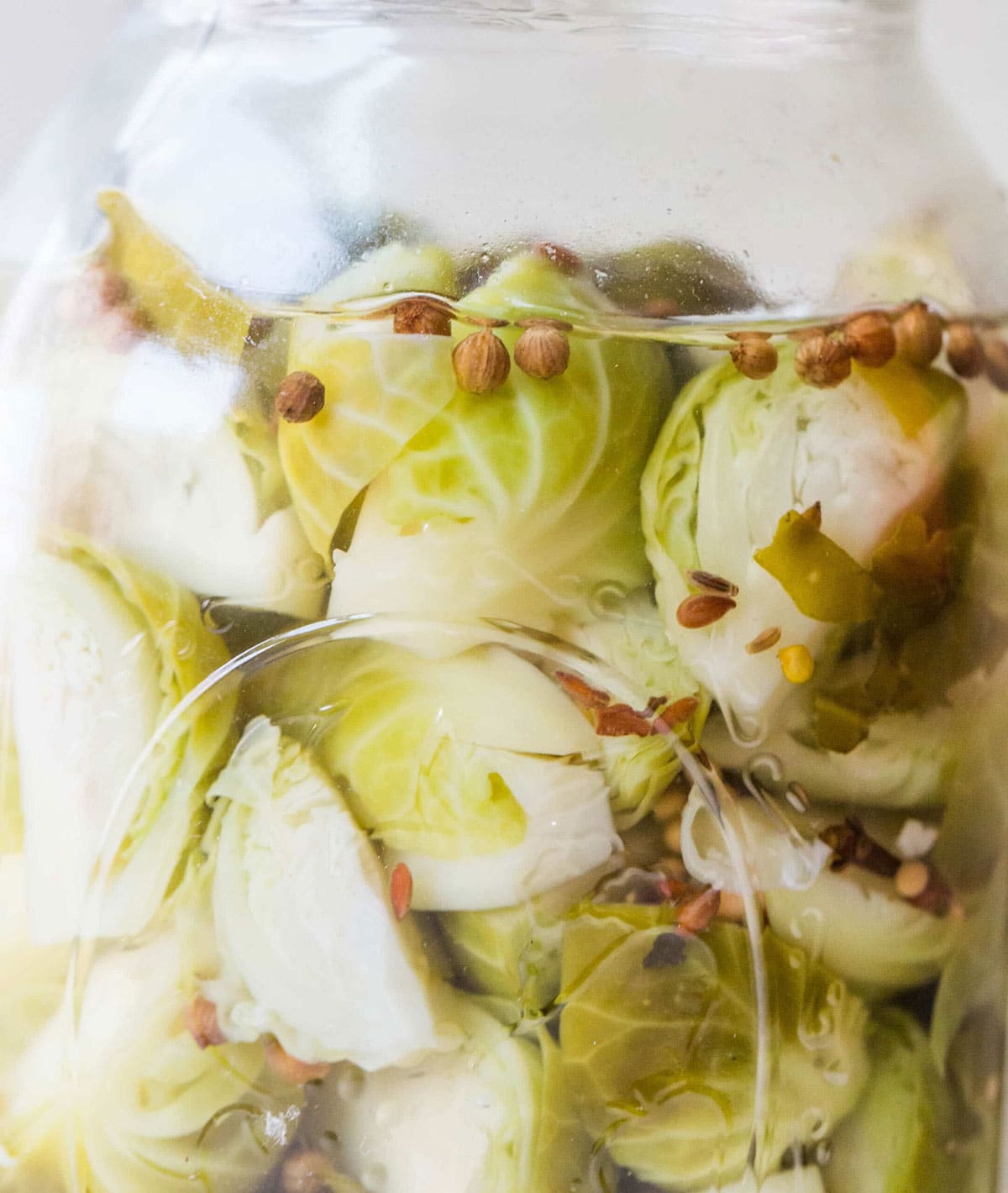 Pickled Brussels sprouts in jar with spices.