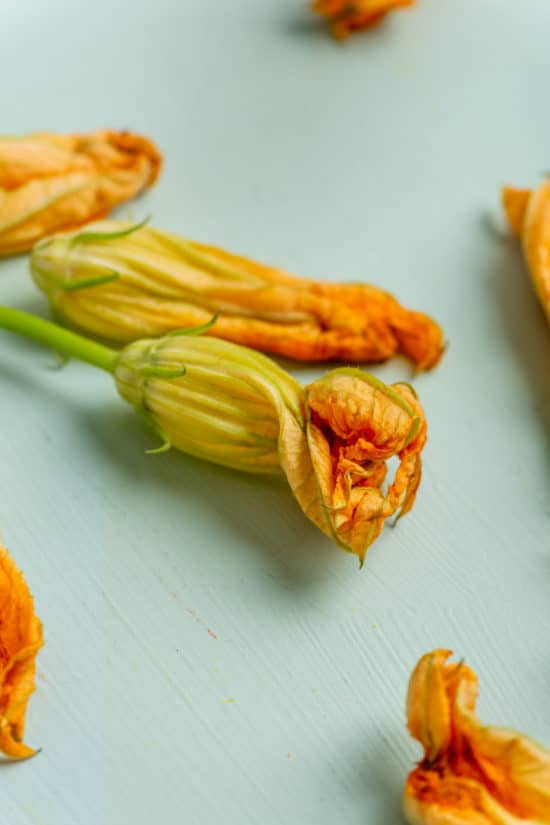 Zucchini Squash Blossoms / Katie Workman / themom100.com / Photo by Cheyenne Cohen