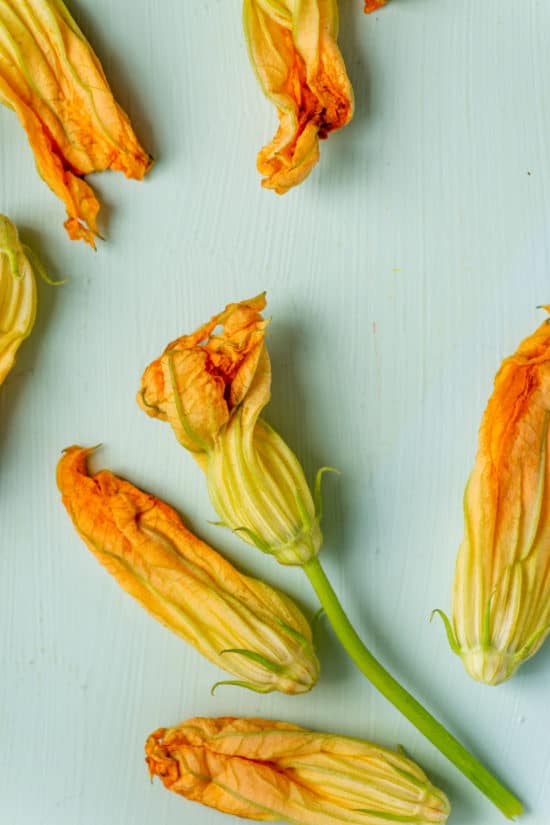 Zucchini Squash Blossoms / Katie Workman / themom100.com / Photo by Cheyenne Cohen