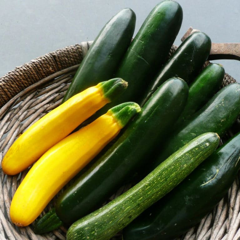 How to Cook Summer Squash and Zucchini / Katie Workman / themom100.com