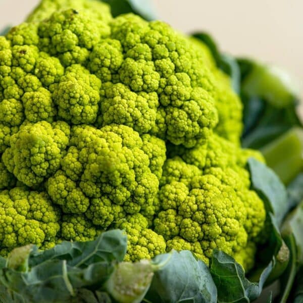 Head of cauliflower-like broccoflower on table.