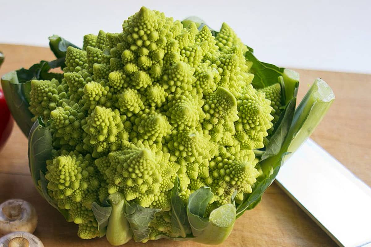 Head of Romanesco broccoli on cutting board with knife. - RonPorter / pixabay.com