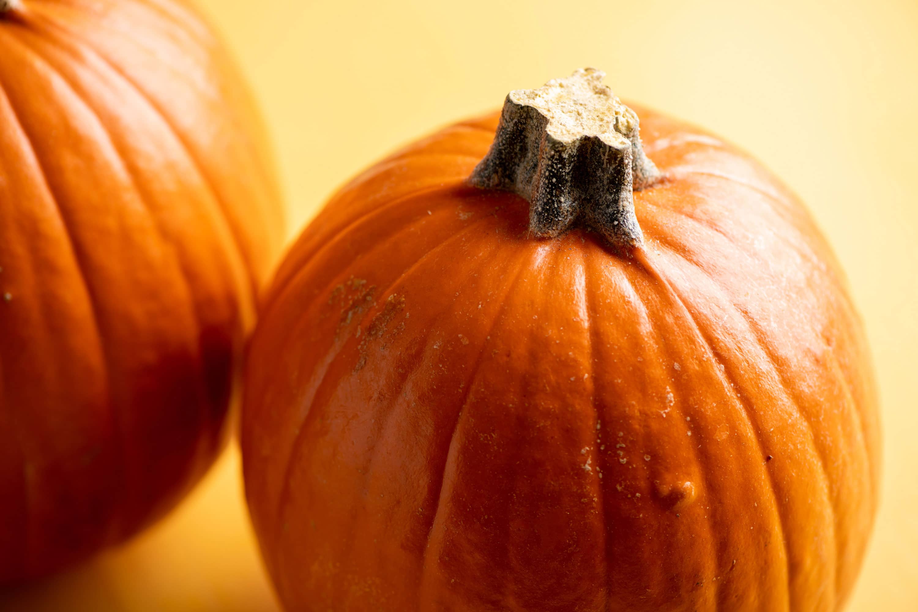 how-to-cook-a-pumpkin-adventures-in-homeschooling