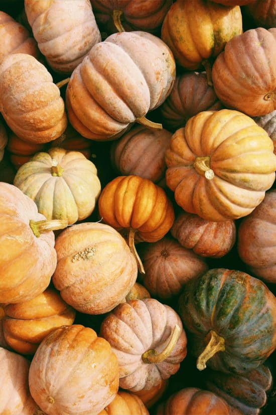 What Pumpkins Are Best for Cooking? / Photo by Kerstin Wrba / Unsplash.com