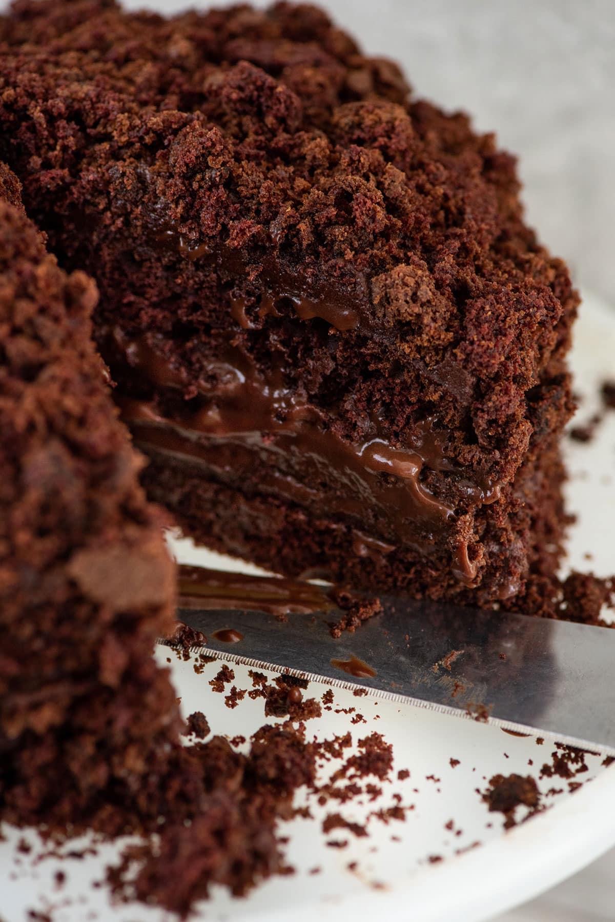 Knife in an Ebinger’s Blackout Cake that is missing a slice.