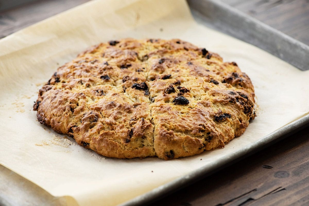 Tender dried cherry scones baked until golden brown on baking sheet with parchment.