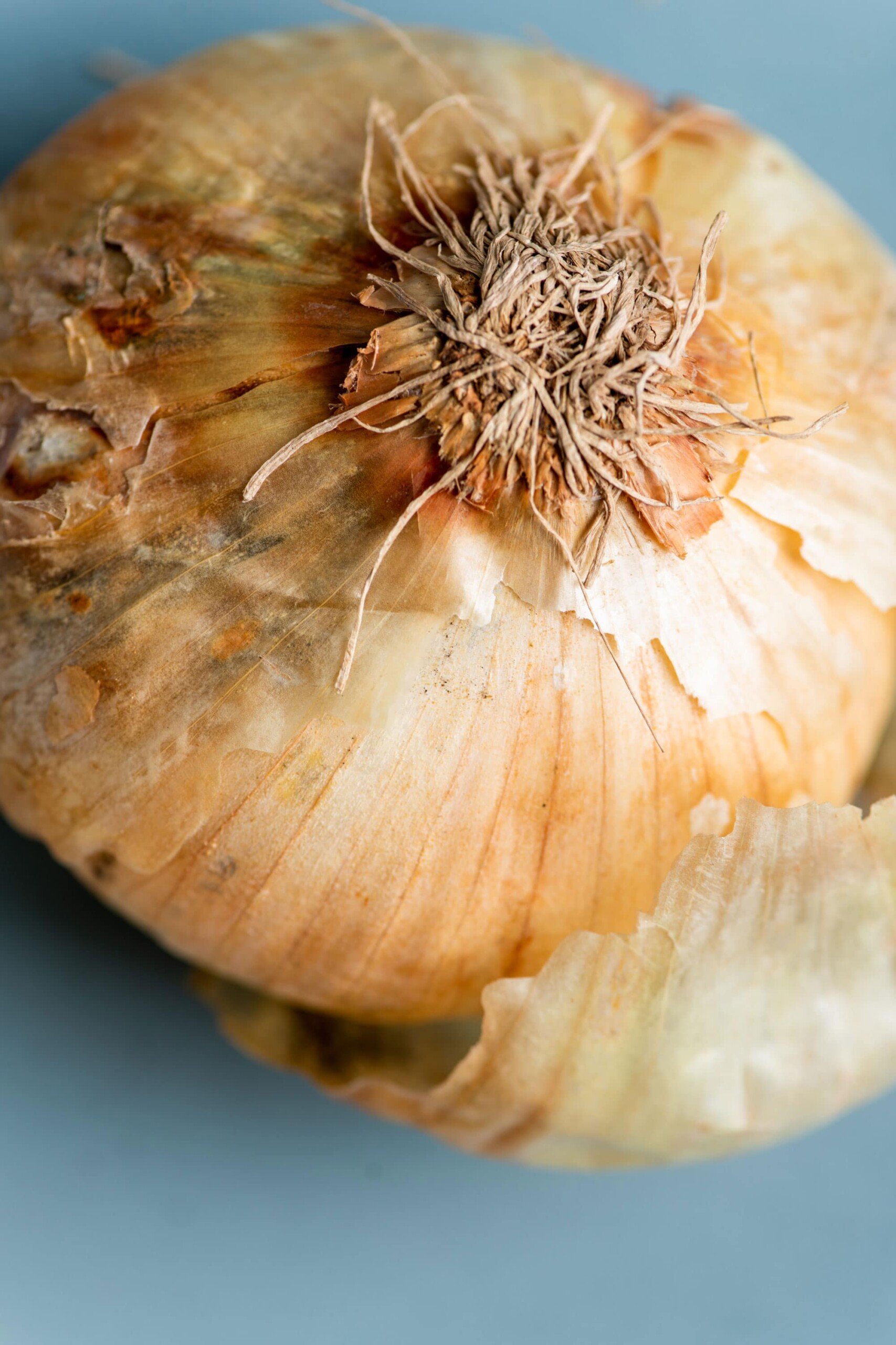 Vidalia Onion with the skin starting to peel off.