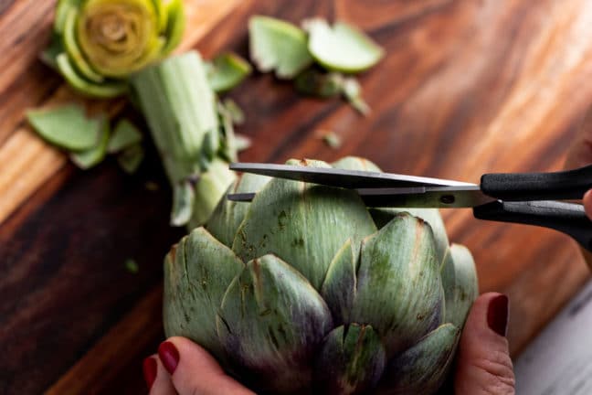 Trimming leaf tips from fresh artichokes