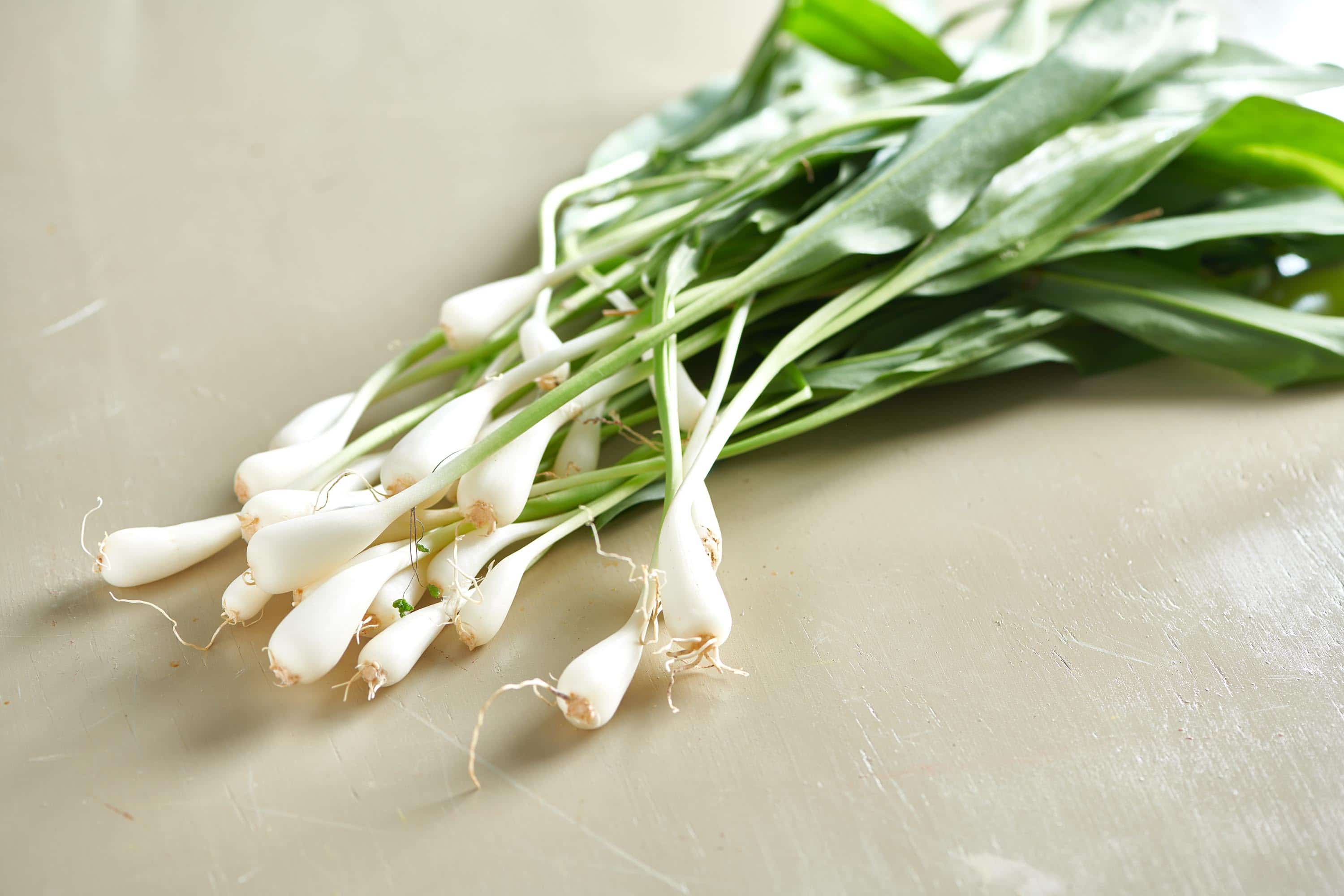 Pile of freshly picked spring ramps on countertop.