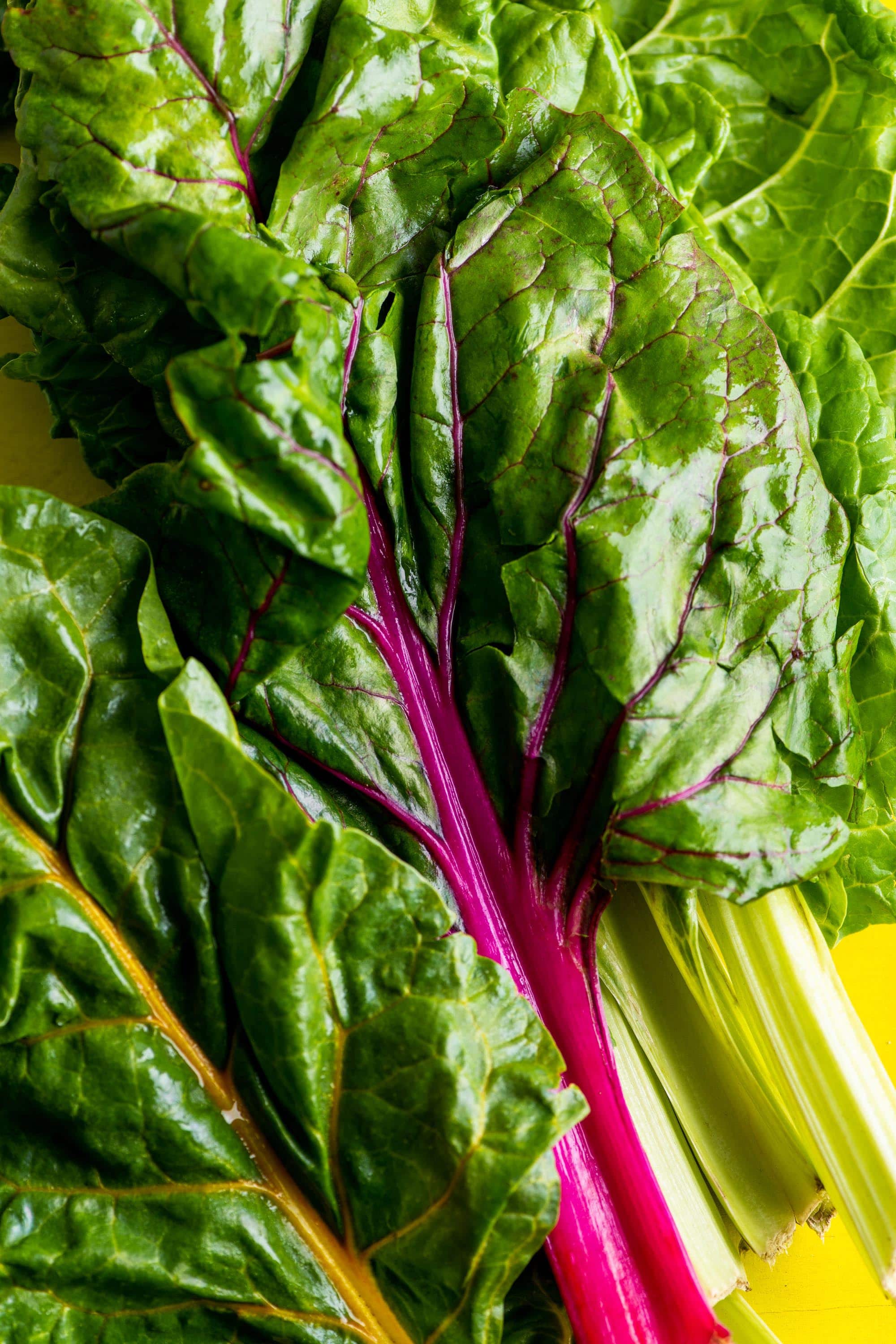 Fresh colorful Swiss chard on yellow table.