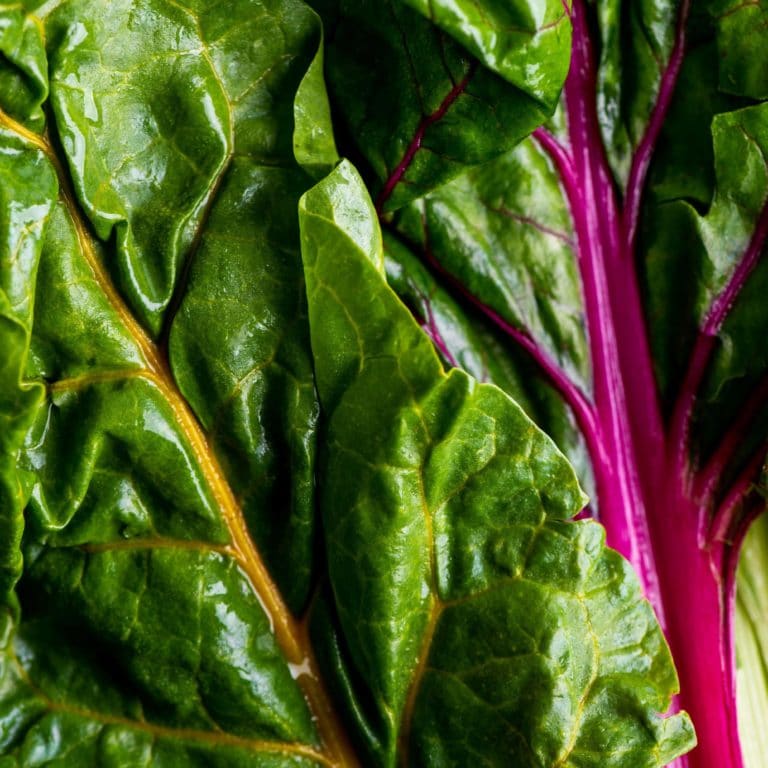 How to Cook Swiss Chard