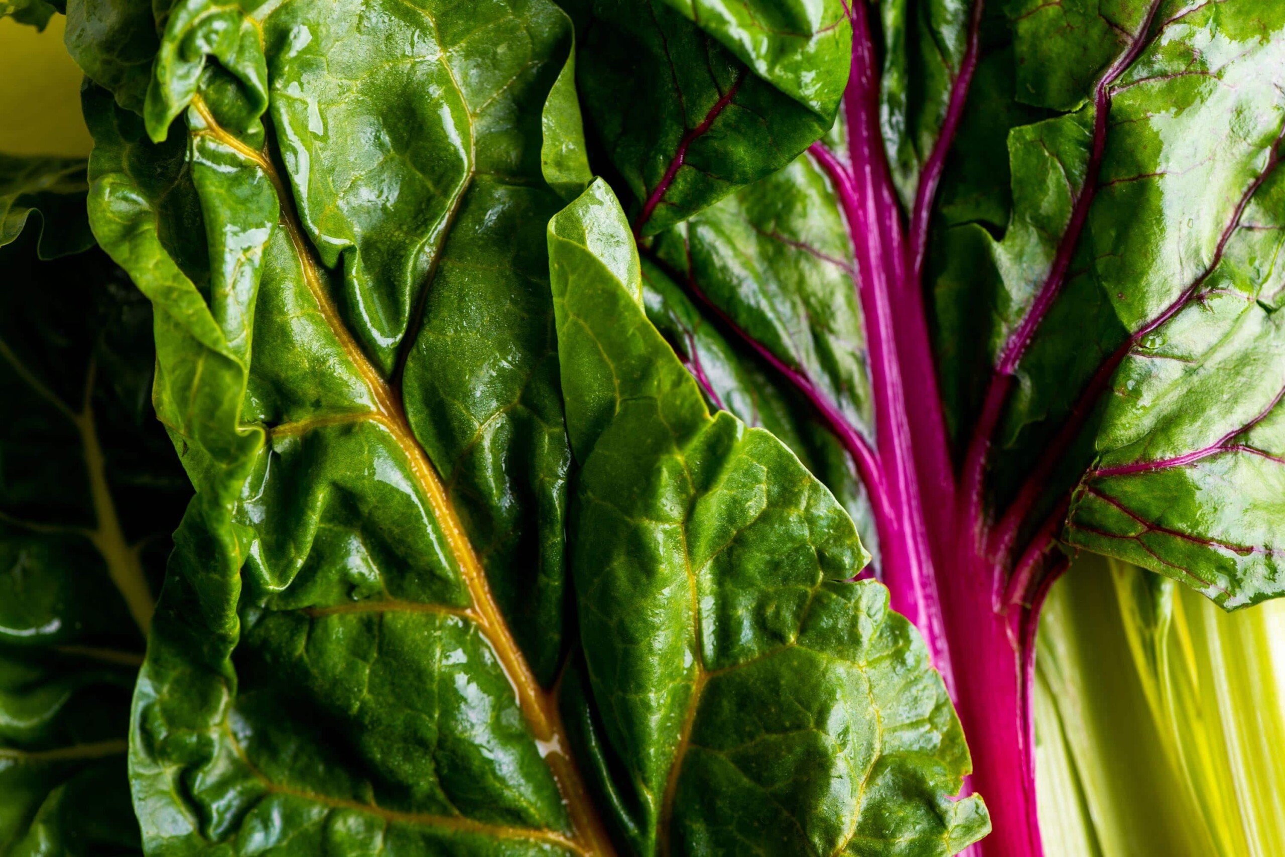 How to Cook Swiss Chard — The Mom 100