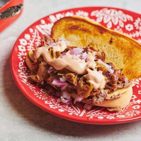 Barbeque Pulled Lamb sandwich on a red and white plate.