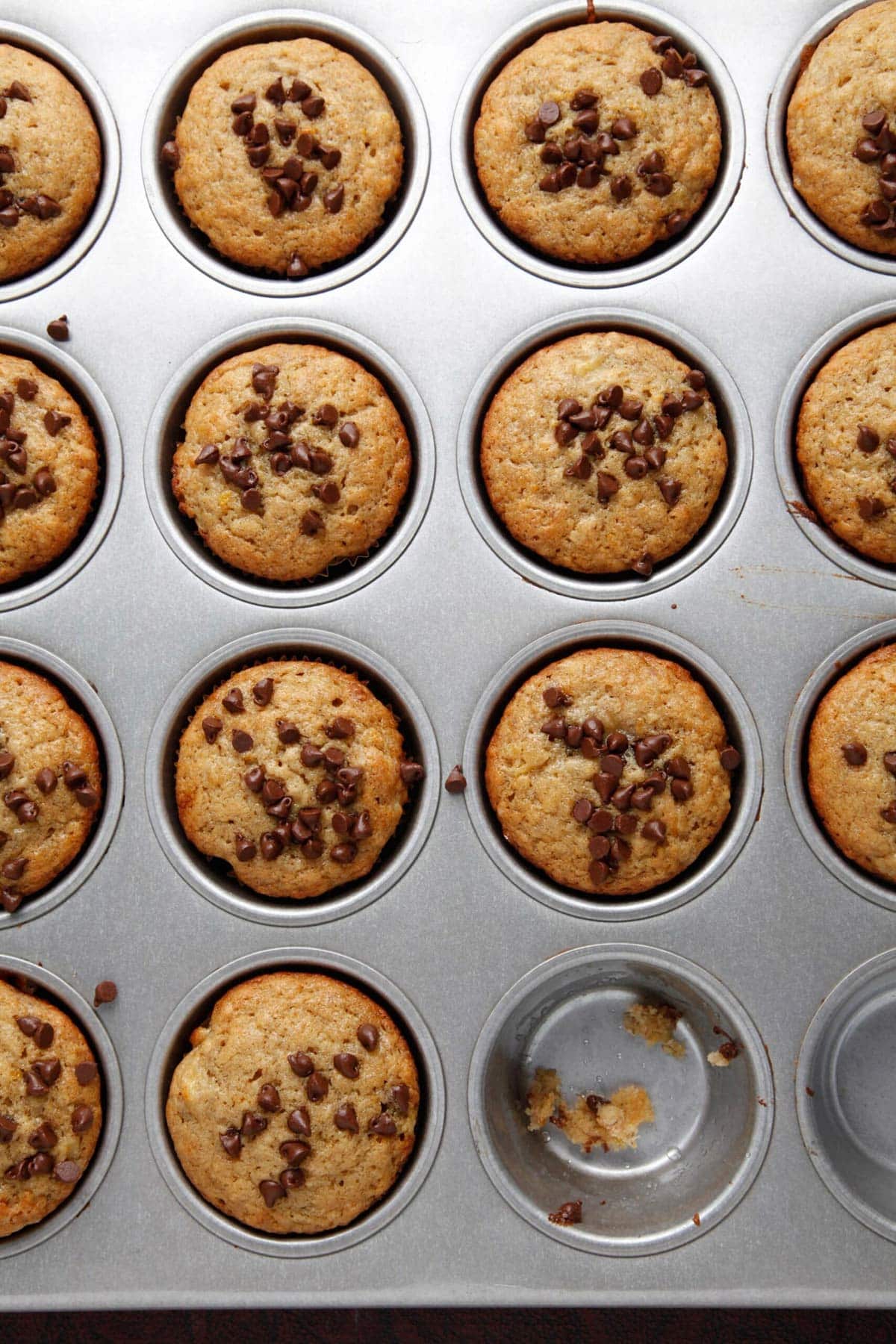 Banana bread muffins with chocolate chips in muffin tin.