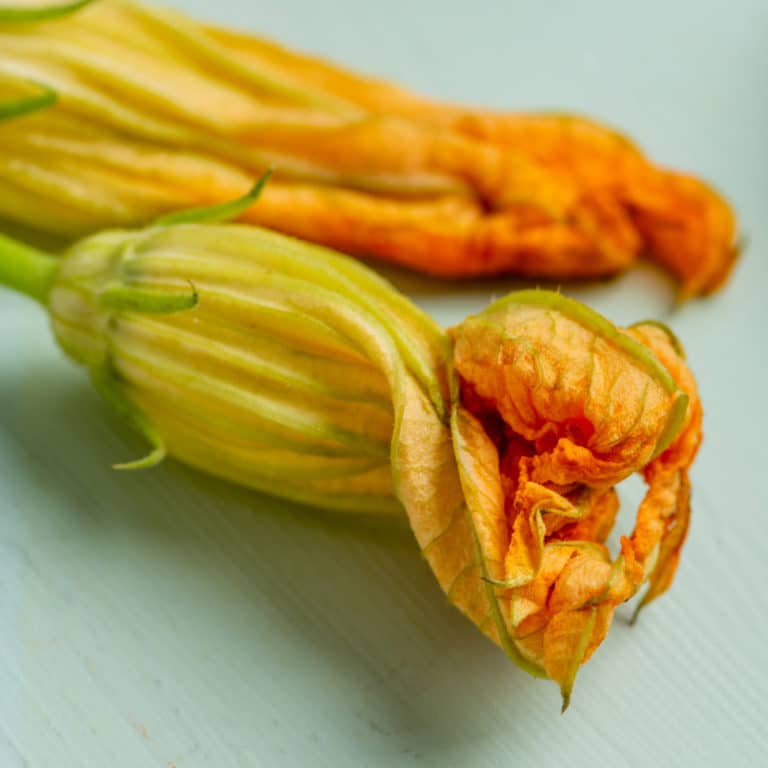 How to Cook Zucchini Squash Blossoms