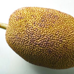 Jackfruit sitting on a white table.