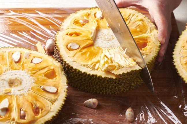 Knife cutting a jackfruit slice in half.