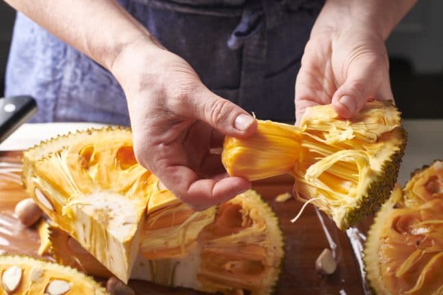 Woman pulling a pod from a jackfruit slice.