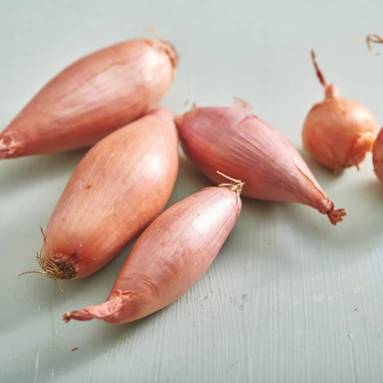 How to prepare shallots