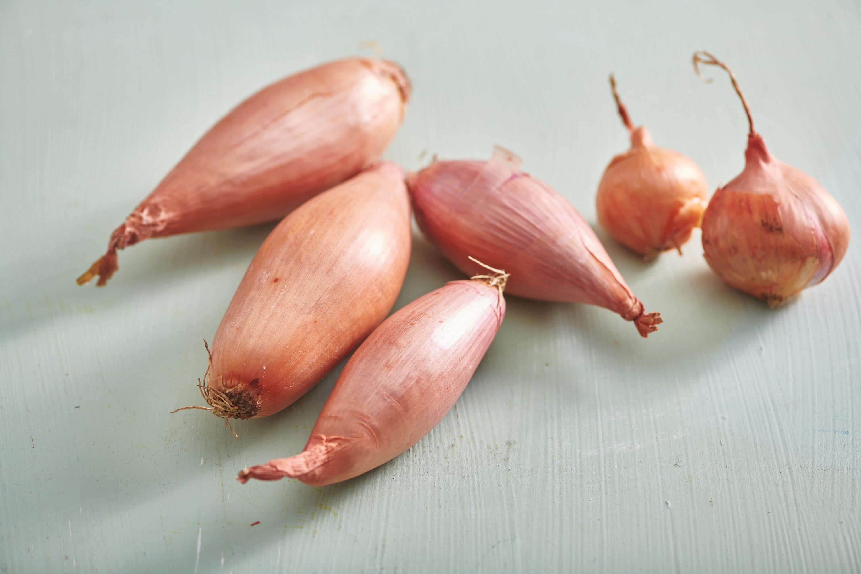 O que é shallots?