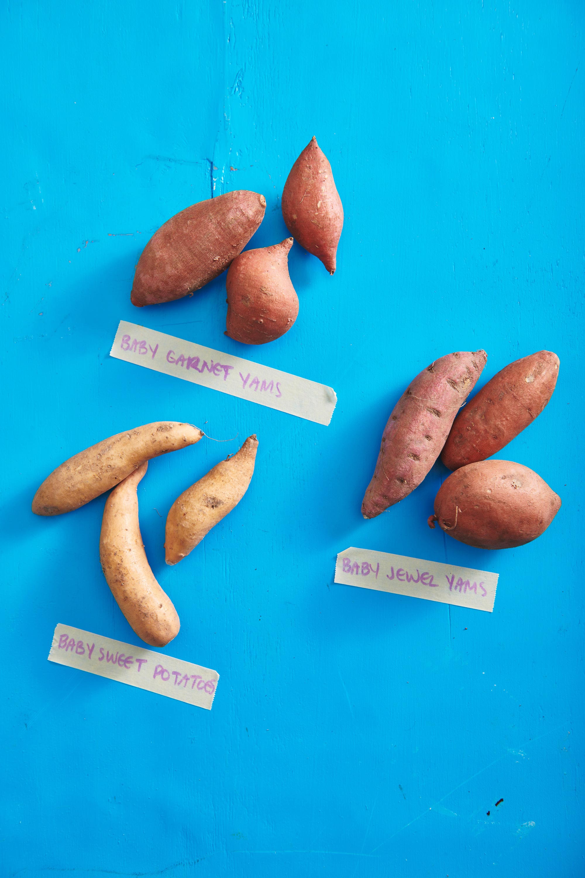 Several varieties of baby sweet potatoes on a bright blue surface.