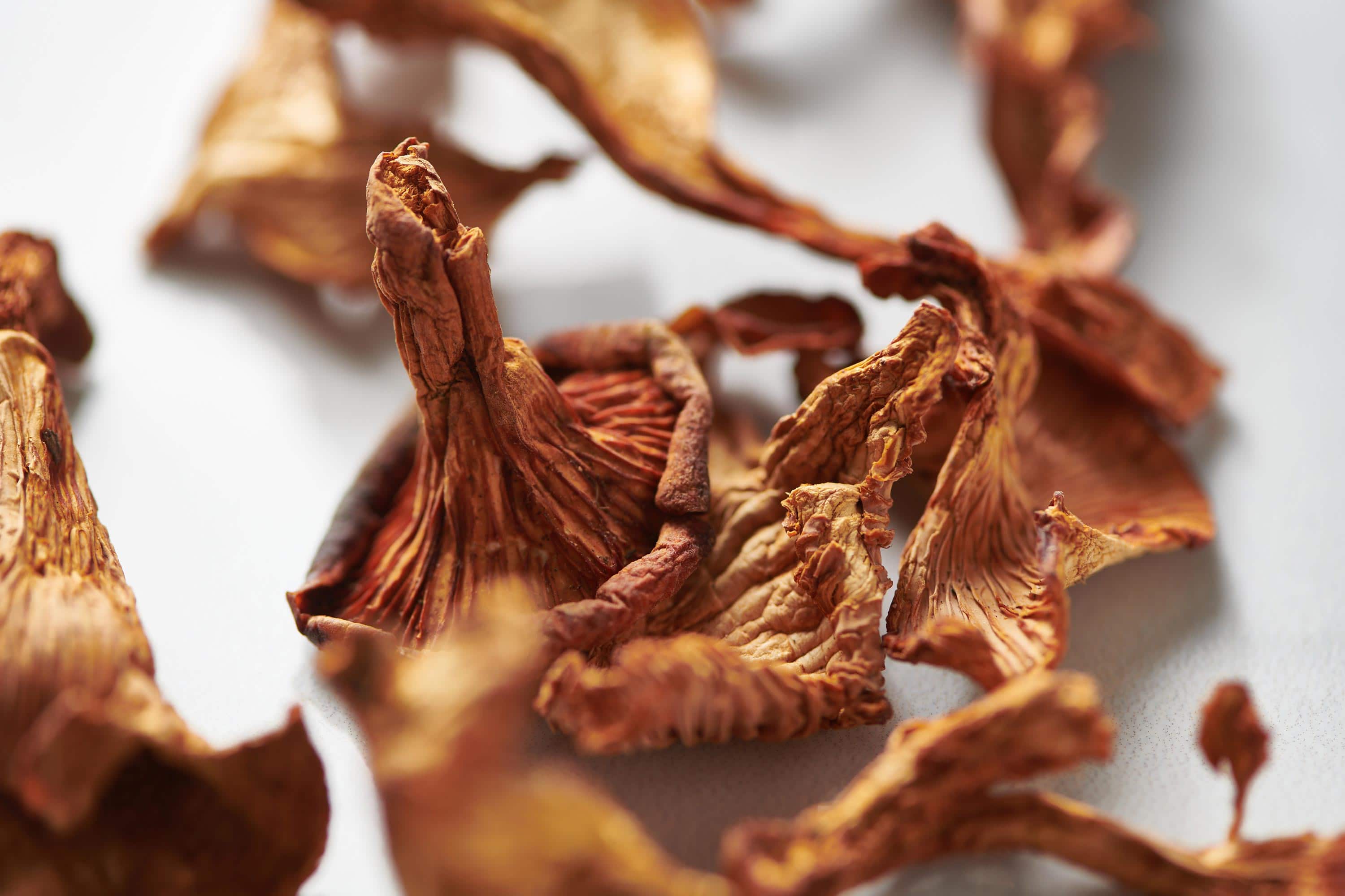 Dried mushrooms on a white surface.