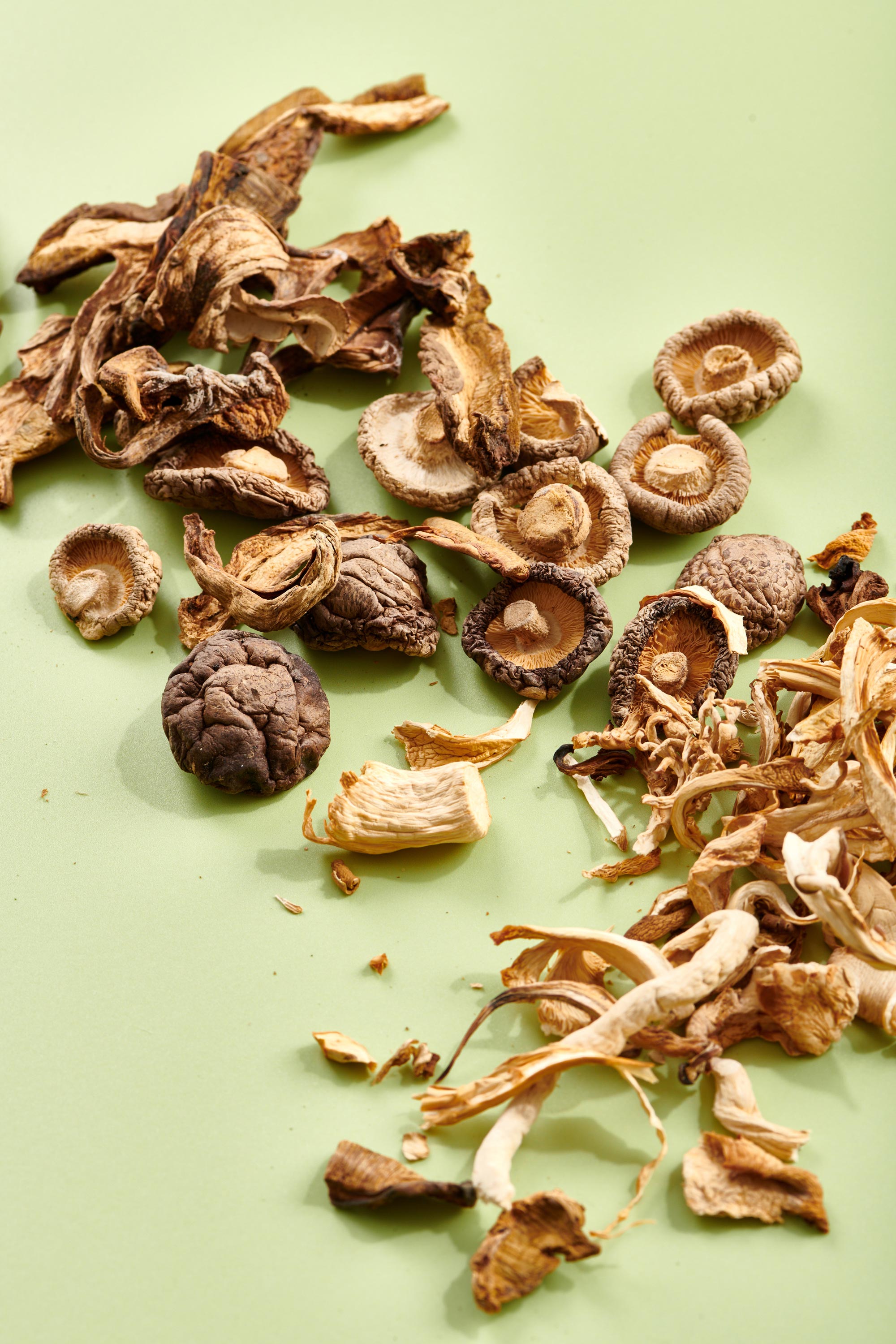 Various dried mushrooms on a pale green background.