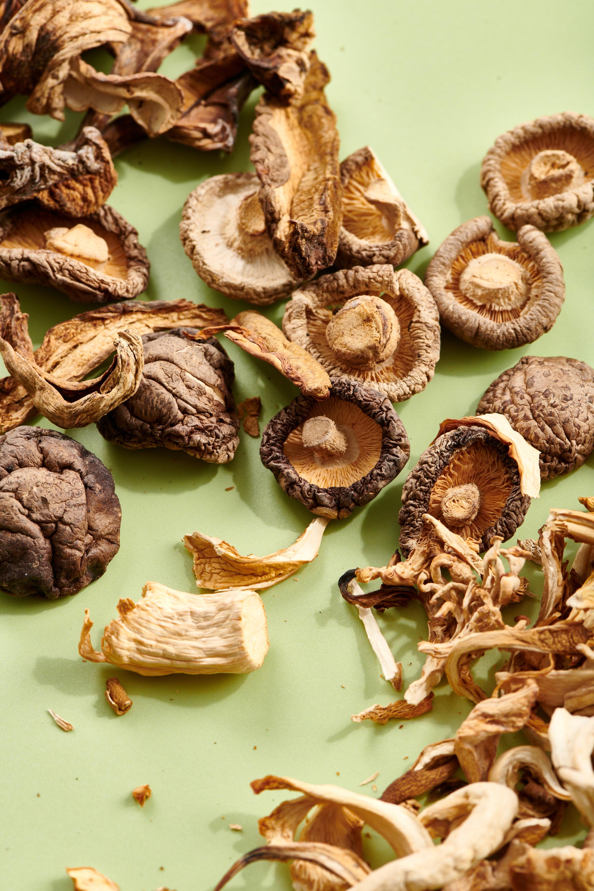 Various dried mushrooms on a pale green background.