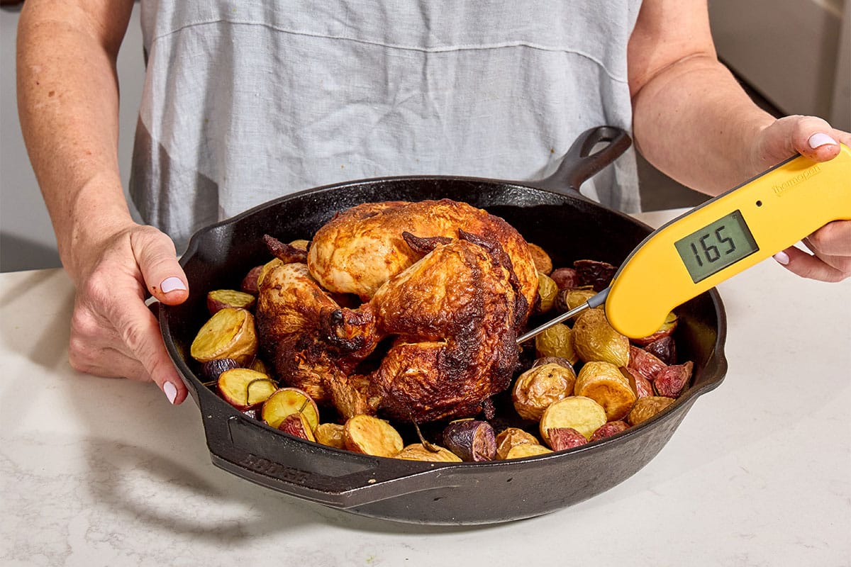 Testing roasted chicken temperature with yellow Thermapen meat thermometer.