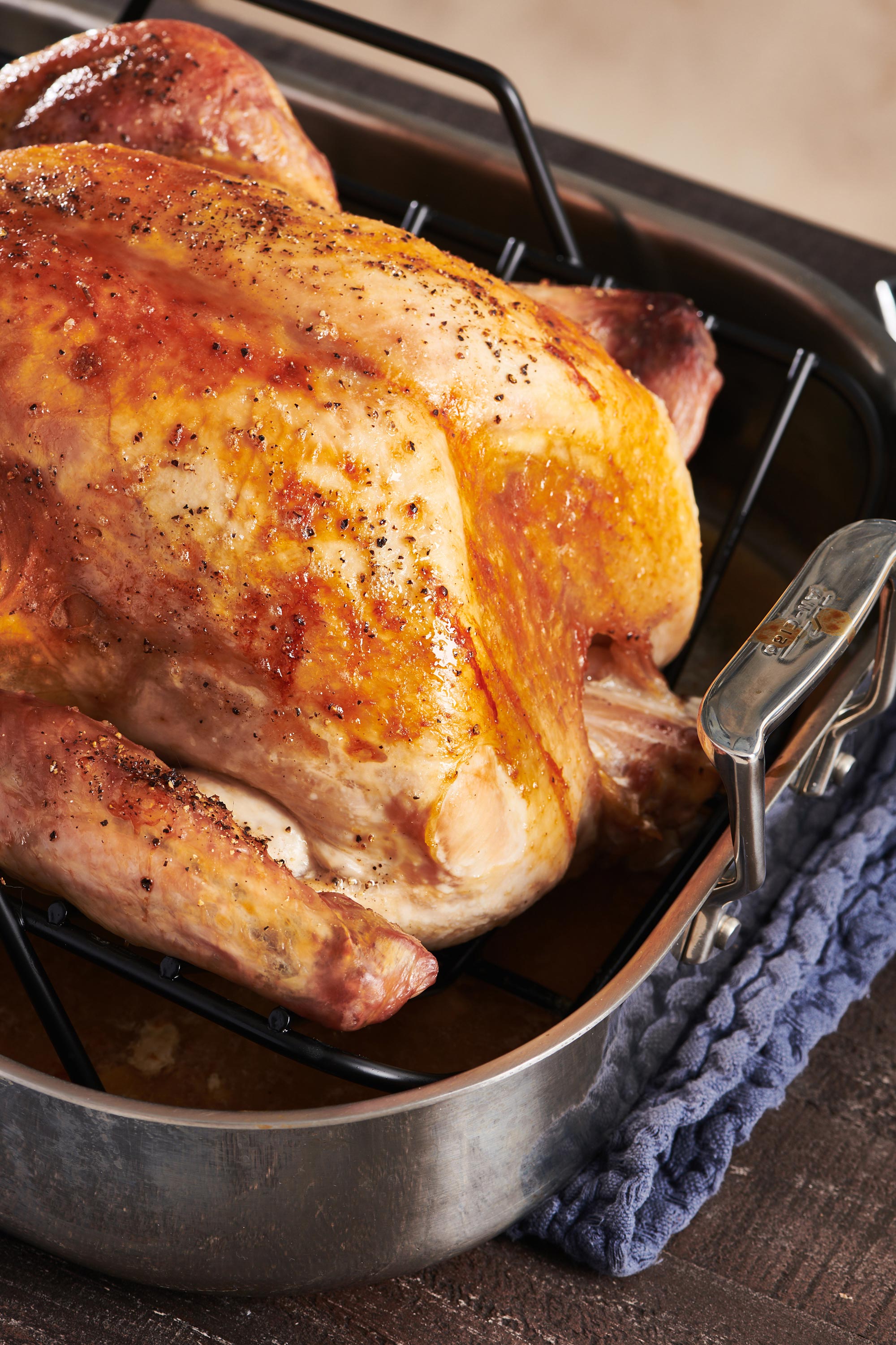 Roasted Thanksgiving Turkey in a roasting dish.