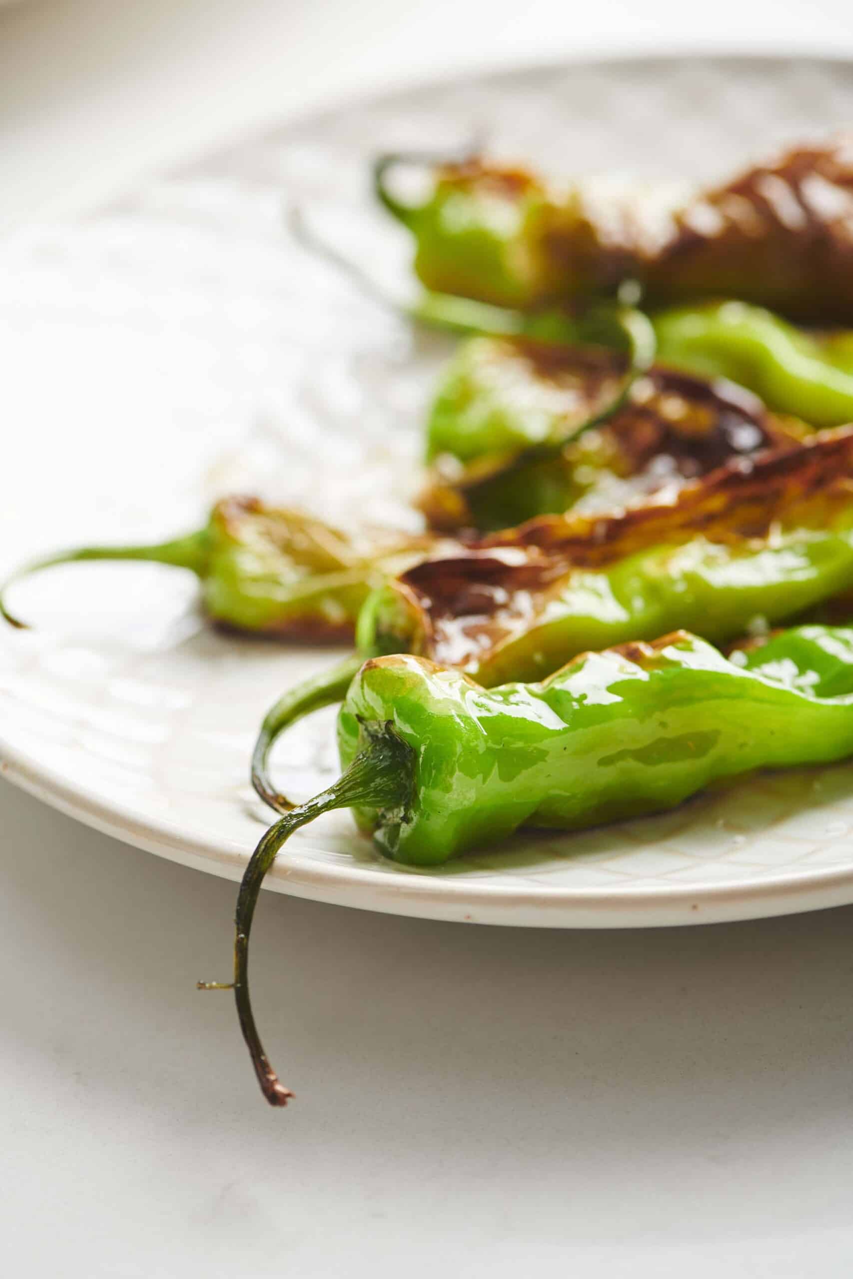 Plate of cooked Shishito Peppers.
