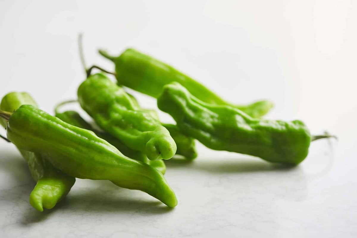 Shishito Peppers on a table.