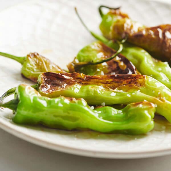 Blistered shishito peppers with salt on white plate.