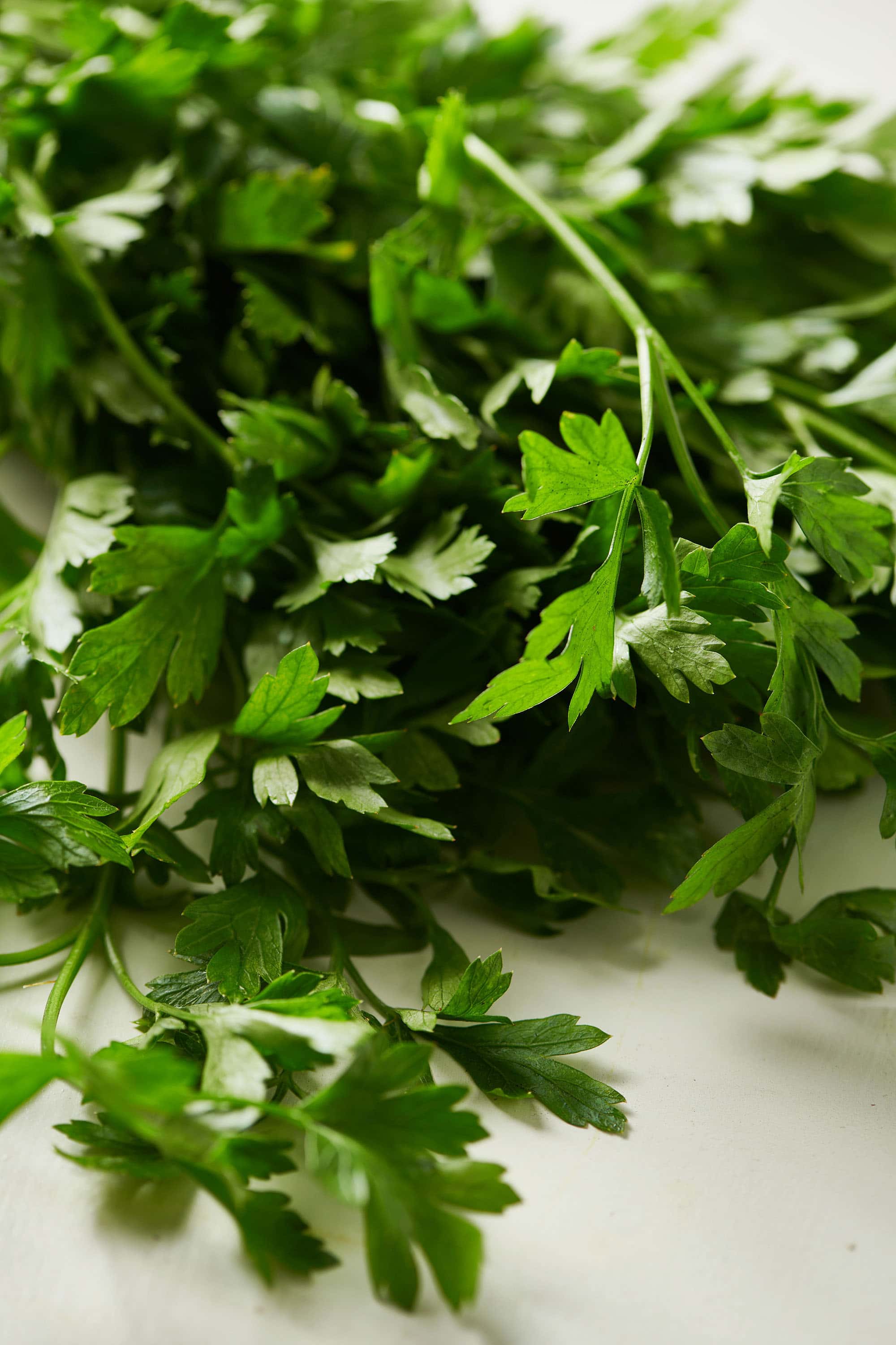 Bundle of fresh flat-leaf parsley on white surface.