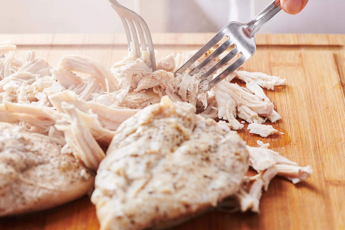 Partially-shredded chicken breasts with two forks.