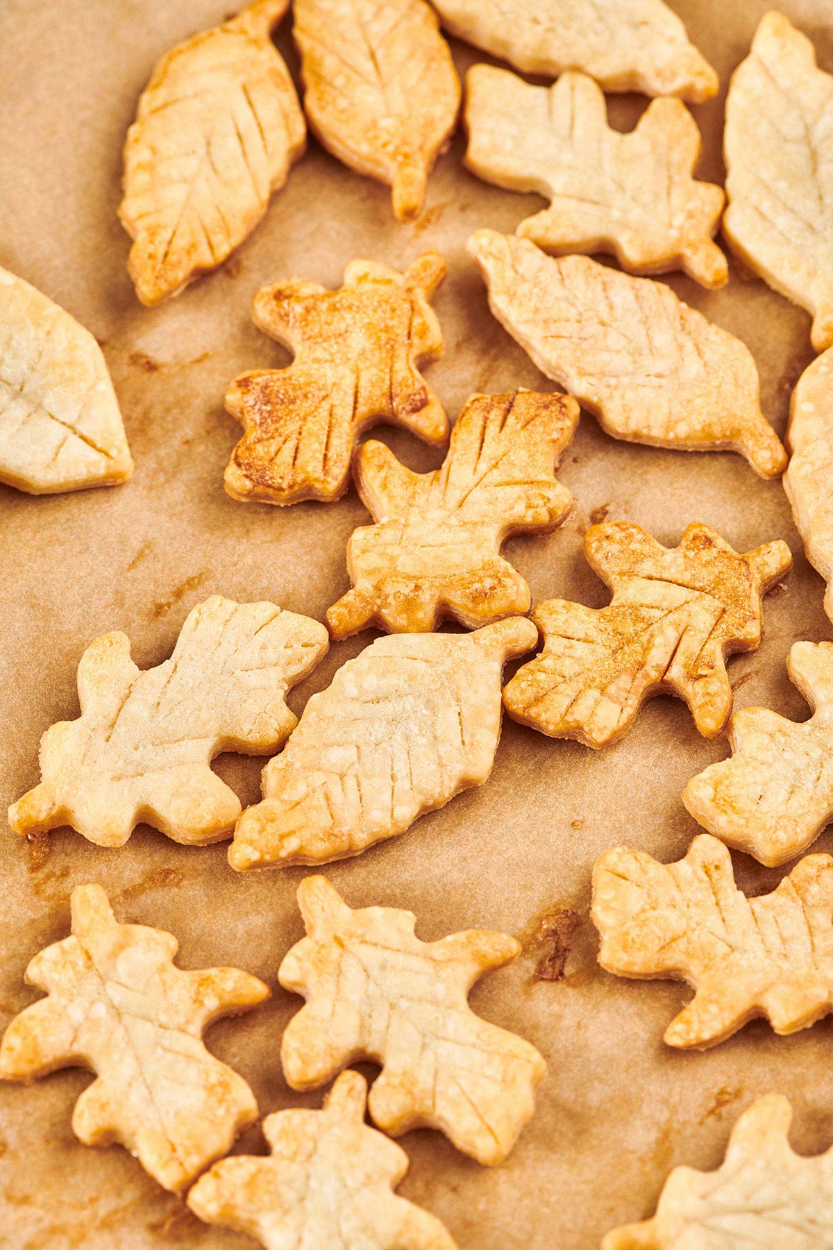 Pie crust leaves on parchment paper.