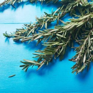 How to Cook with Rosemary