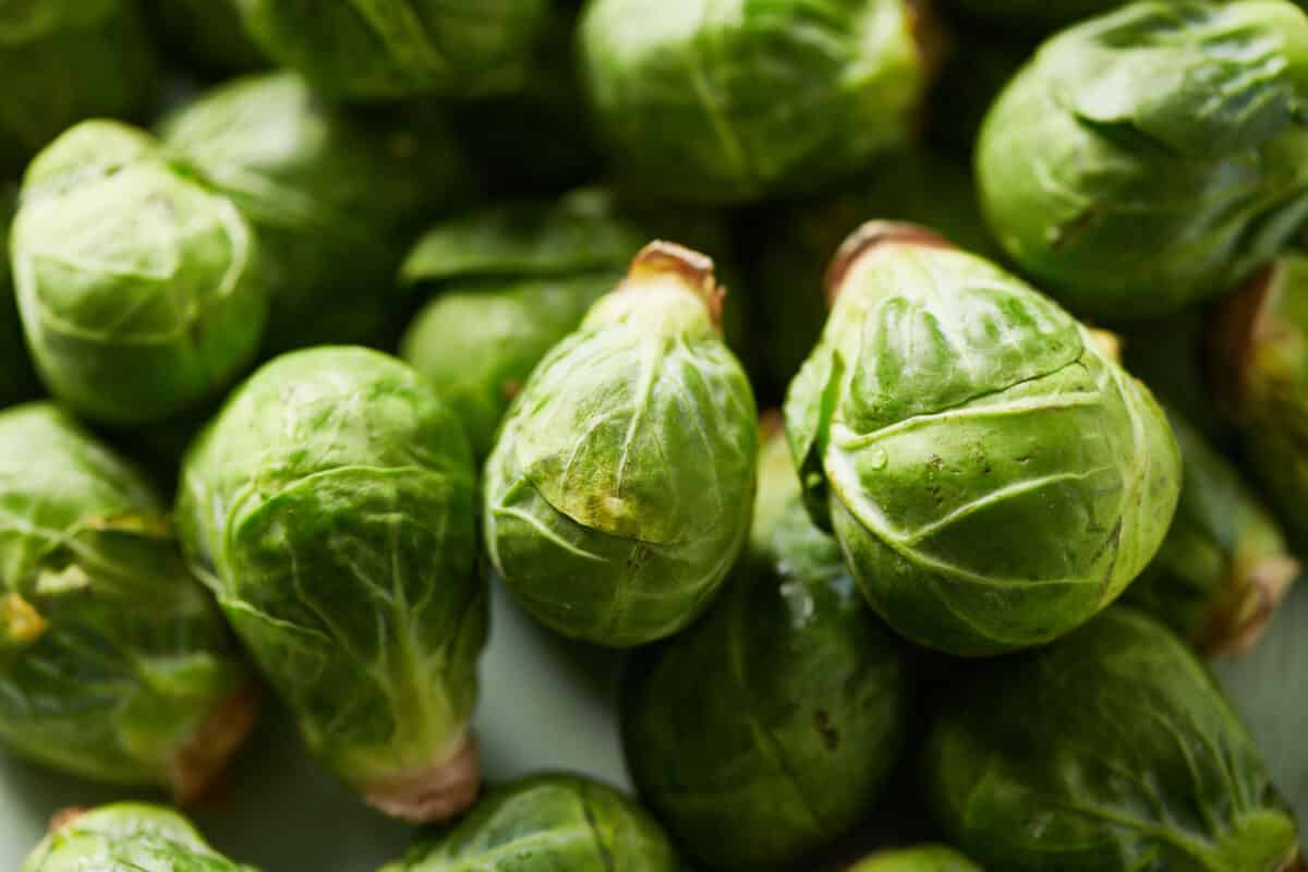 Fresh Brussels sprout in pile on table.