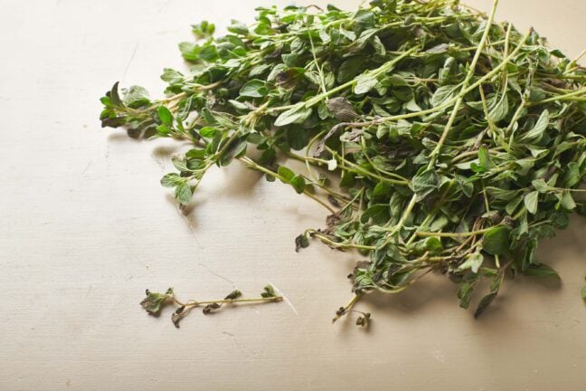 Pile of oregano leaves and stems.