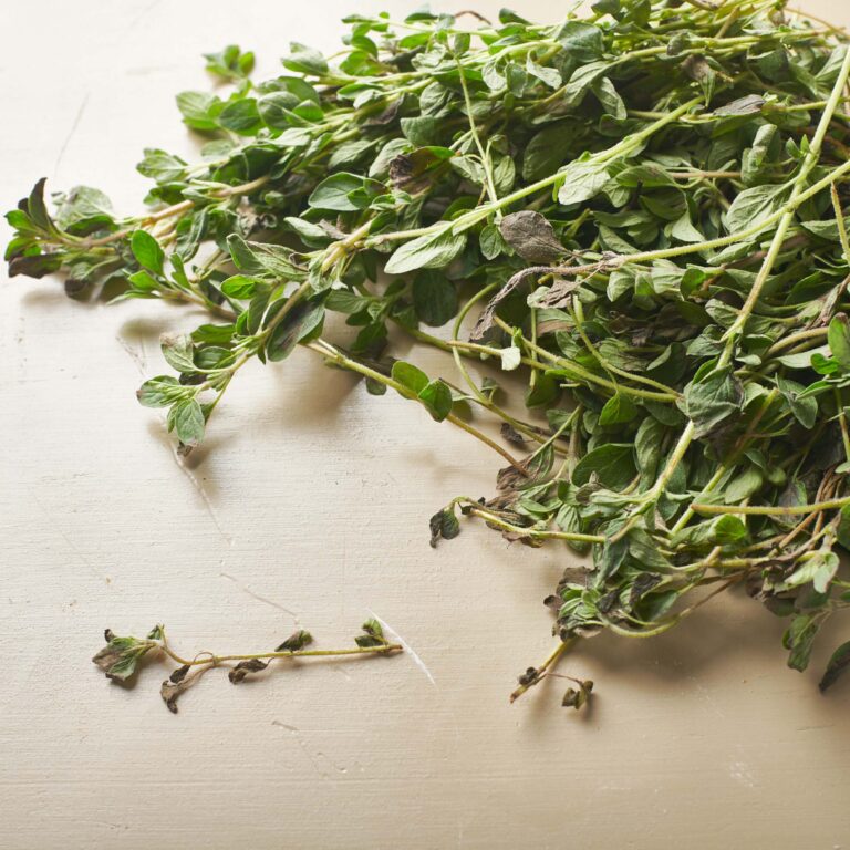 Pile of oregano leaves and stems.