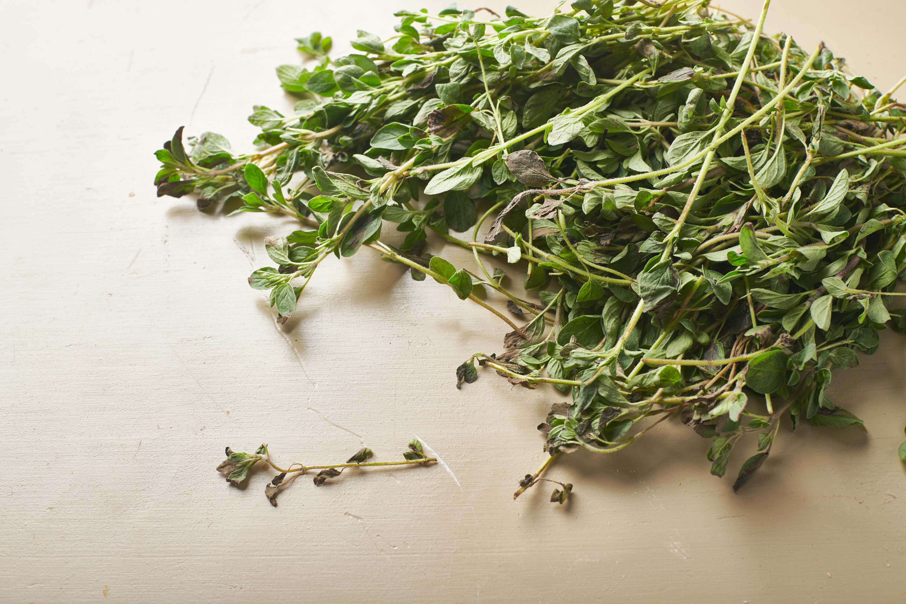 What is Oregano Used for in Cooking? 